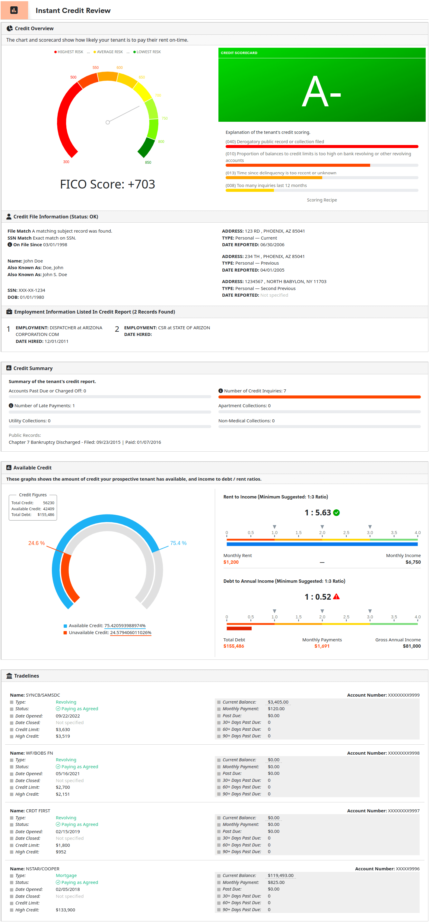 Credit Report Sample